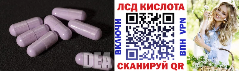 купить наркотик  блэк спрут маркетплейс  LSD-25 экстази ecstasy  Курлово 