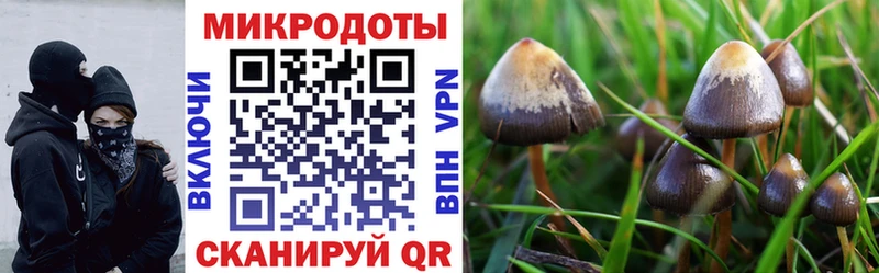 Псилоцибиновые грибы мицелий mega зеркало Курлово